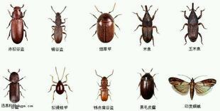 ��ľ�x����