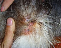 ���x����