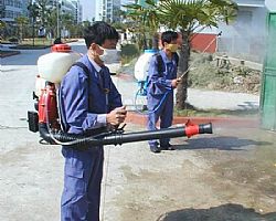 �|ݸ��С�^���x