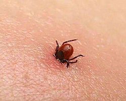 ���x����