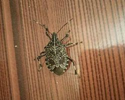 ���x����