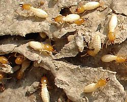 �b�ް�ρ�A��