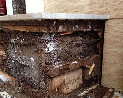 �e����ρ����/�A��