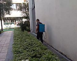 �|ݸ��סլС�^����