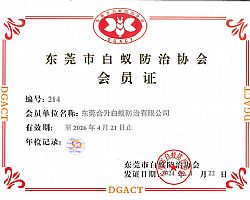 �|ݸρ�f���T���䰸��